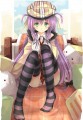 ニーソ！/暴力社長の猫@主婦
