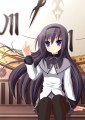 ほむっほむにしてやんよ！/にゃるみ