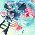 エンドレス/はねぽち