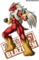 BLAZIKEN