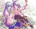 いくてんと教科書/しろさ