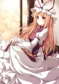 八雲紫さん/ファルまろ