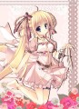 ★c81☆ふわふわ花少女★/ななろば華/3日目ネ-28a