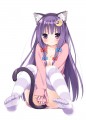 裸パーカー猫耳しっぽニーソパチュリー/ぺこ