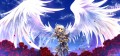 羽/Windforcelan