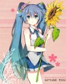 ひまわり/だする