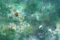 恋風/四々九