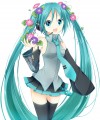朝顔ミクさん/蝉時雨