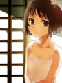 夏の日/茶菓山