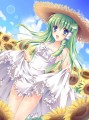 ひまわり畑/muku