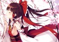 桜の蜜/ke-ta