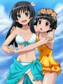 初春は私の嫁！/豆柴