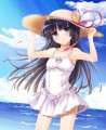 白猫さんと過ごす夏/なかじまゆか