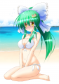 水着の早苗さん2012/おさしん
