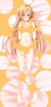 抱き枕風あすな/だっち