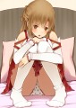 アスナ様に見せてもらった/きつねこあざらし