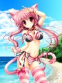 おっぱいおっきい猫耳さん/神谷ともえ@ｳﾞｧｰ
