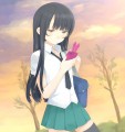 泉/ちた