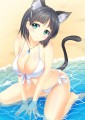 すぐにゃん/pasdar