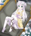 シロネコちゃん/月野　ネル