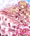 猫耳さん/七瀬尚