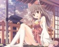 れいむ/フランシス・ド・ラリアット