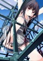 ジャングルジム/茶みらい
