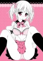 コミティア表紙/チドリヌ