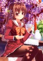藤の花を見ながら紅茶はいかが？/ナズナ
