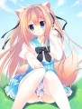 たぺすとりー/天凪青磁