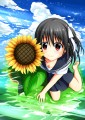 ひまわりと/岩元空