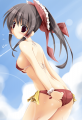 水着霊夢ちゃん！/甲斐ゆうき