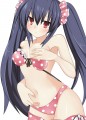 ノワちゃんｸﾝｶｸﾝｶ