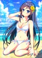 水着姿を見せてくれ！