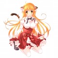 コミ1コミティア新刊◆三毛猫