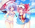 夏を満喫する水着レミフラ