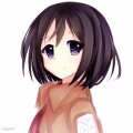 Mikasa