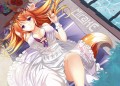 FA - Summer Holiday