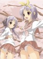 さくら。