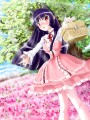 黒猫誕2014