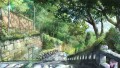 夏の道