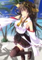 金剛ちゃんin南国