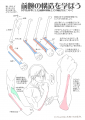 前腕の構造を学ぼう