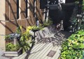 木漏れ日　新宿区大京町