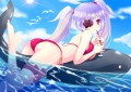 ザメリーキャノン発射