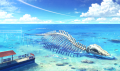 浅瀬