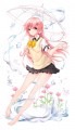 【C86】さくらあめ