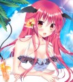 紅楼夢セット用グッズイラスト
