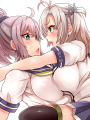 青葉と衣笠