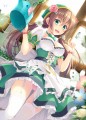 蝶も恋した花屋の娘